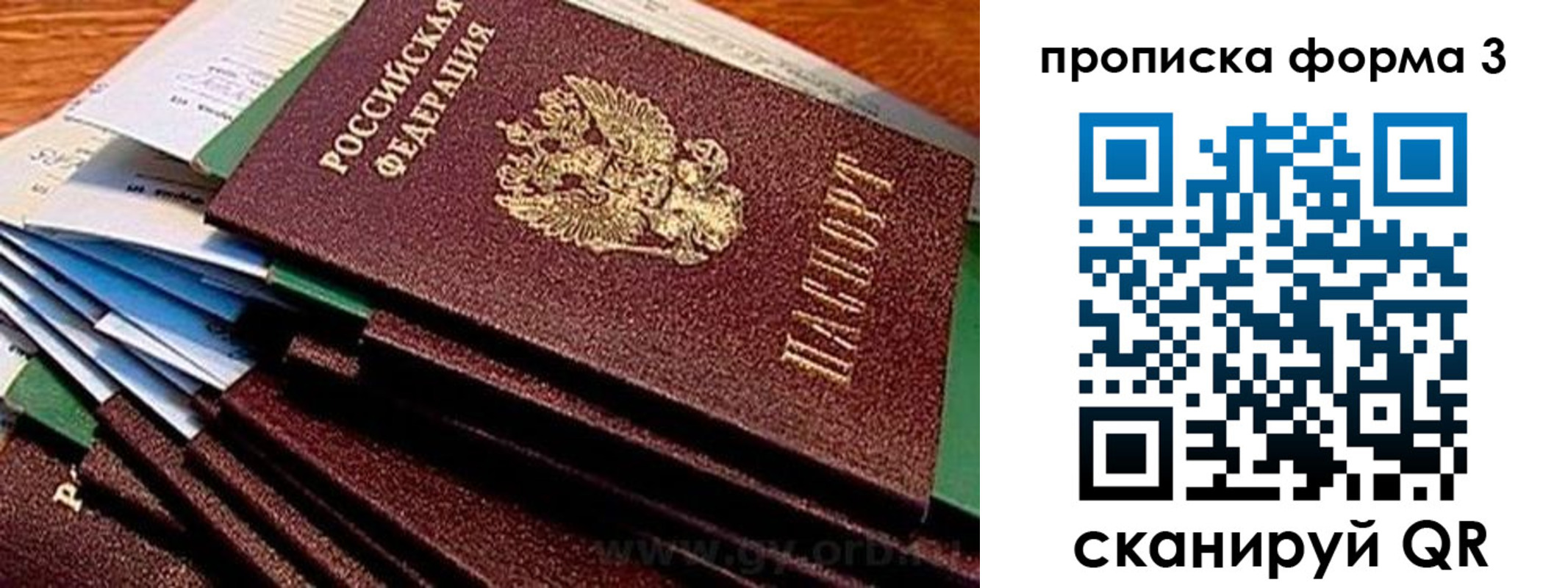 прописка иностранных граждан в Сосновом Бору